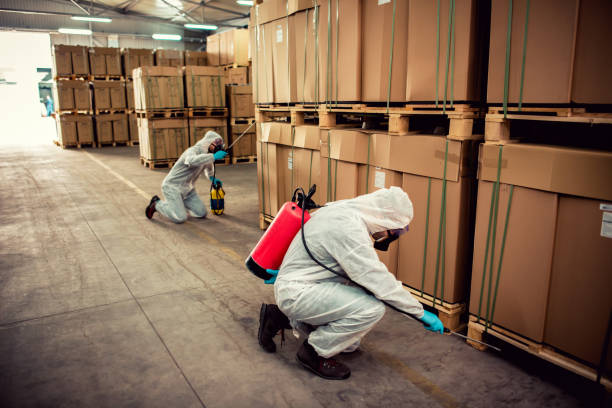Best Pest Control Near Me  in Pine Bluff, AR