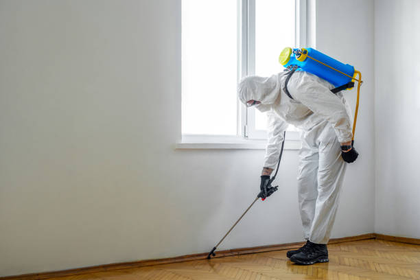Best Pest Prevention Services  in Pine Bluff, AR