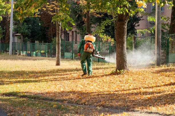 Reliable Pine Bluff, AR Pest Control Solutions
